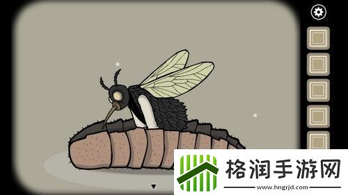 锈湖天堂岛第四灾怎么过