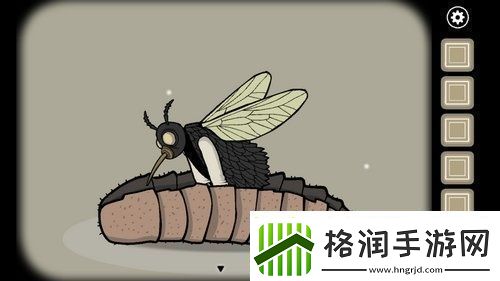 锈湖天堂岛第四灾怎么过