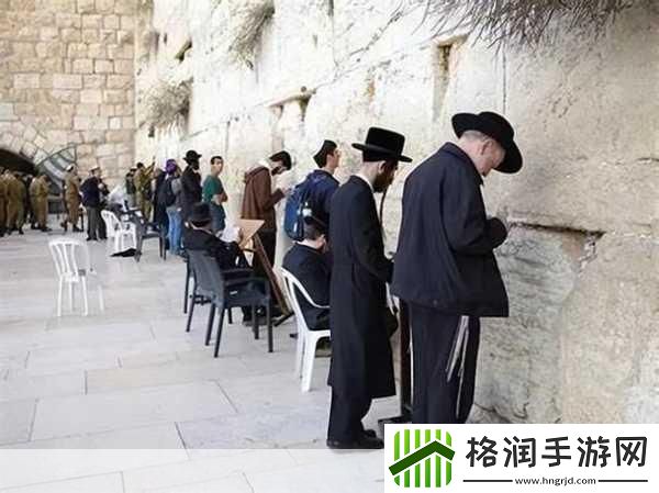 美国人与畜禽合作项目