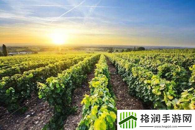 欧美精品一产区、二产区