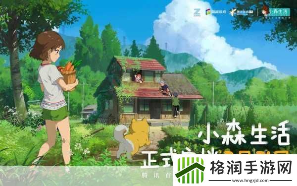 小森生活告别玩家