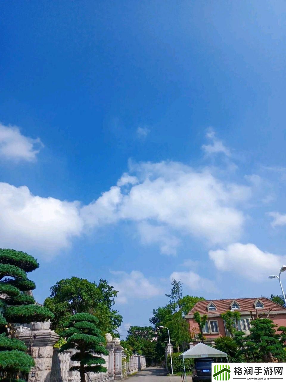 “000单机手机站”