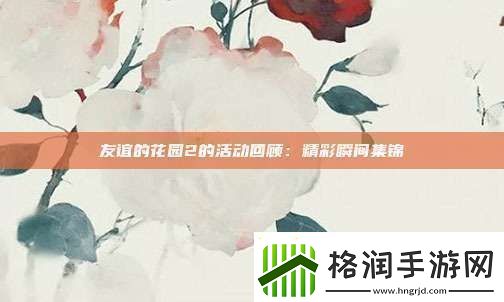 友谊的花园2的活动回顾