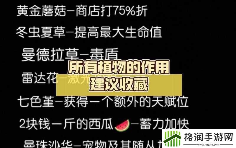 元气骑士冬虫夏草的作用及具体用法全面详细解析