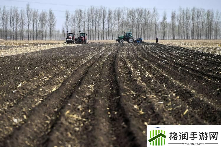 种出荒土奇谭逗笑众生——游戏攻略界的另类传说