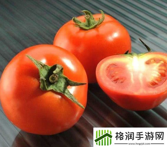 探索草莓樱桃丝瓜巨大的秋葵番茄的奇妙世界