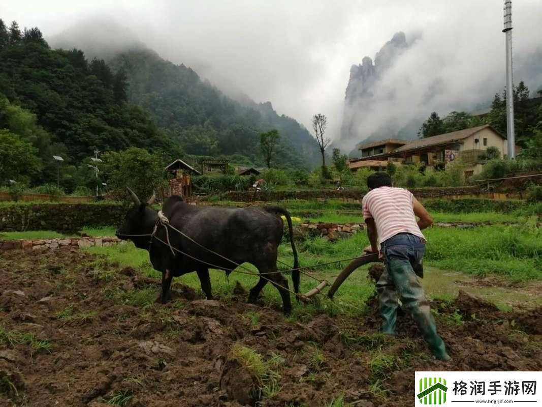 耕田传奇