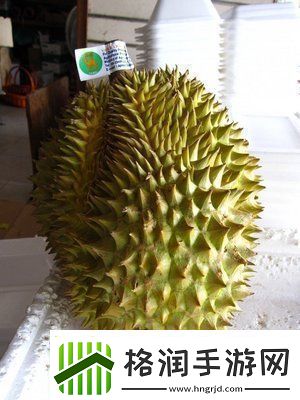 探索草莓香蕉丝瓜秋葵香草榴莲的美味组合