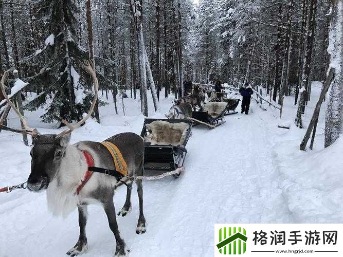 寻找冰原守卫者拉雪橇的麋鹿