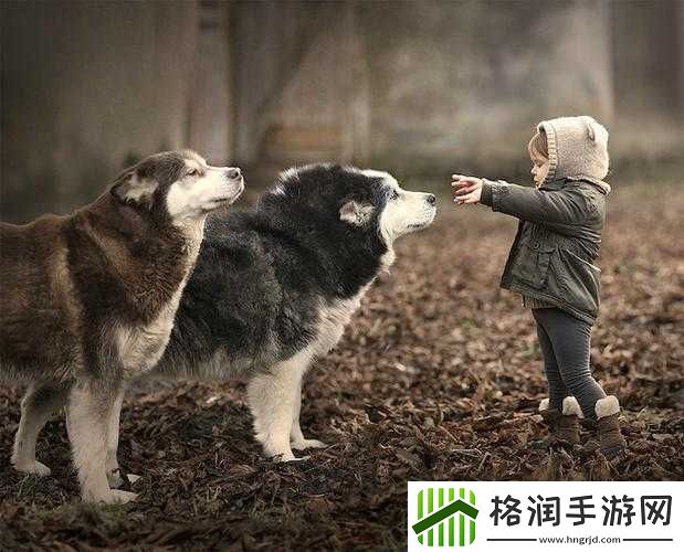 人物动物互动高清视频素材下载集合