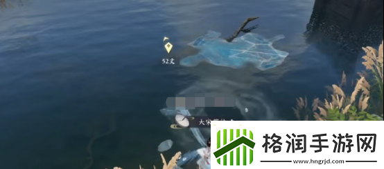 逆水寒冻鱼肉使用方法揭秘