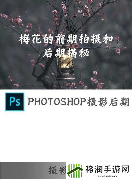 一级二级调色大片的拍摄背景介绍