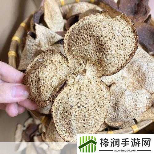 问题解决久一线产区二线产区三线产区