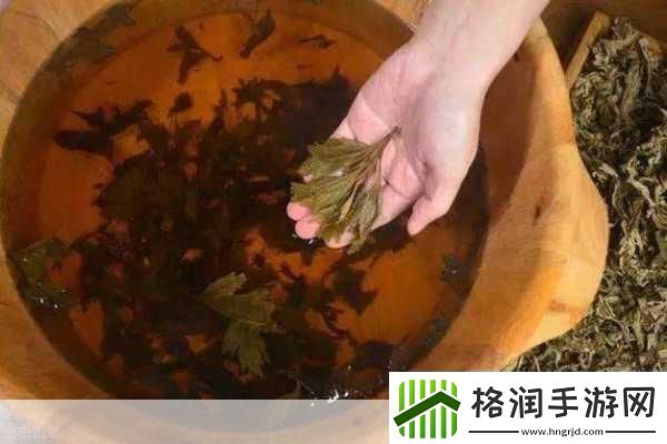 扦插BB有什么好处扦插BB的好处