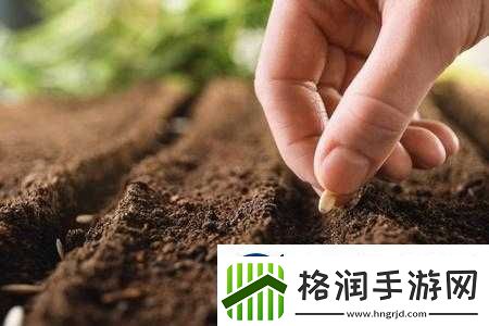 耕种妈妈肥沃的土地