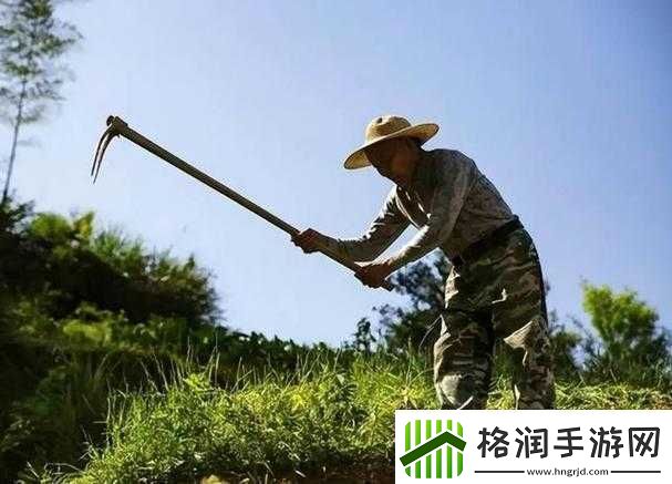 儿子耕种母亲田地寓意