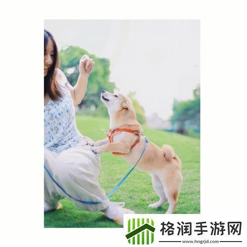 狗儿大变身江湖新秀崛起记