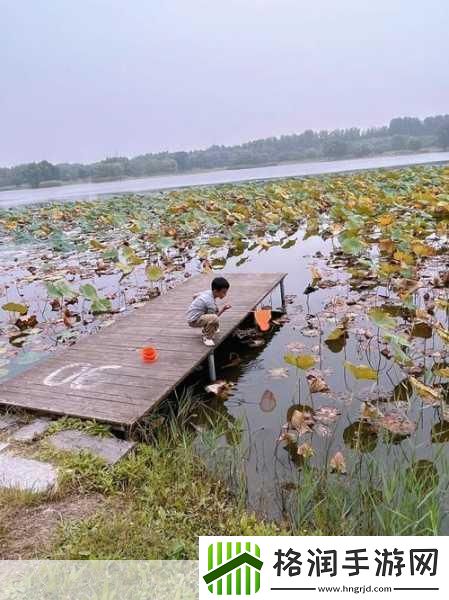 揭秘99无人区码一码二码三1080p不再是梦