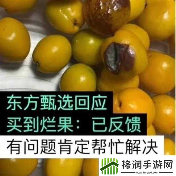 桃子移植像素侵犯后果严重