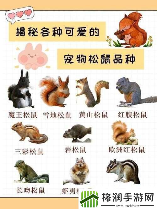 XXXXXL1962222解释毛样