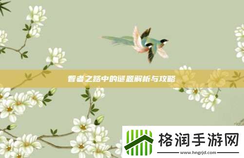 智者之路中的谜题解析与攻略
