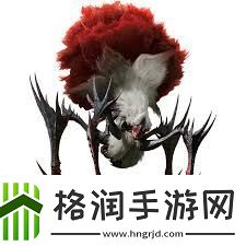 怪物猎人荒野刺花蜘蛛如何组建最佳蜘蛛猎人阵容