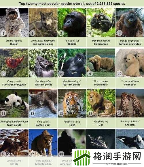 Zoom与人性Zoom的区别