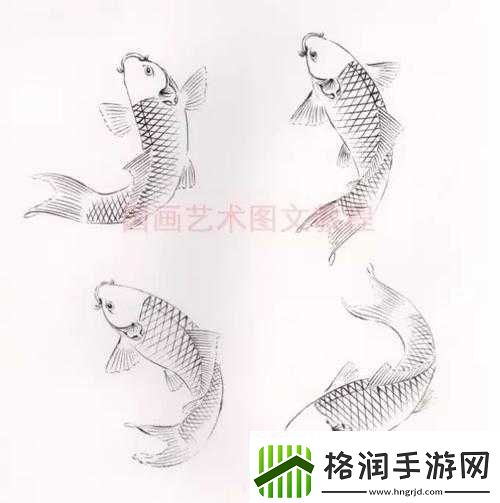 鲤鱼吸水怎么练的图片视频