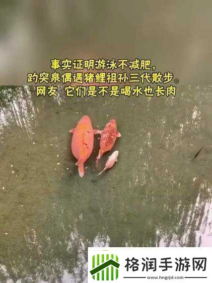 女人鲤鱼喝水图解大全之详细解析