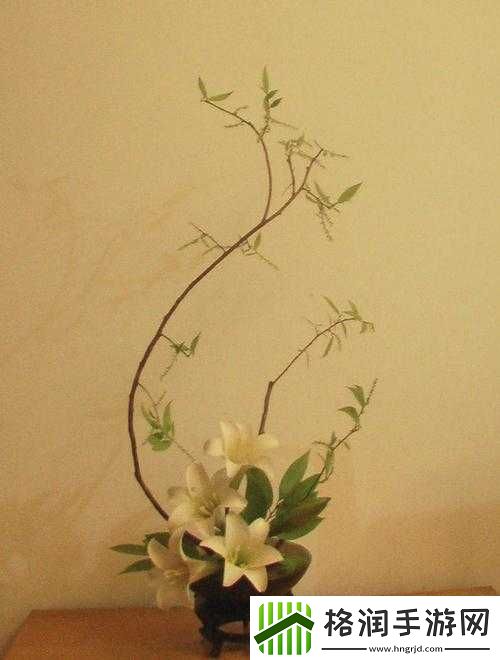 紫龙插花芯的禁忌