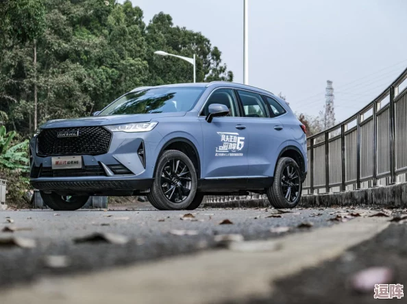 497799欧洲版的国产SUV