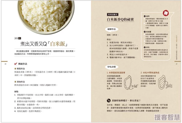 爆炒美人兄长的一百种方法