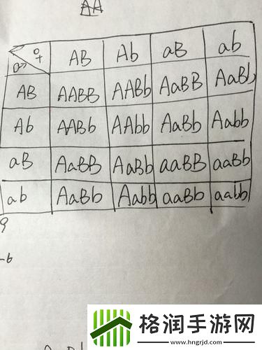 AABB与AAAA的差异