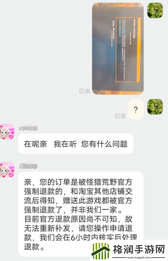 玩家淘宝买怪猎荒野遭退款