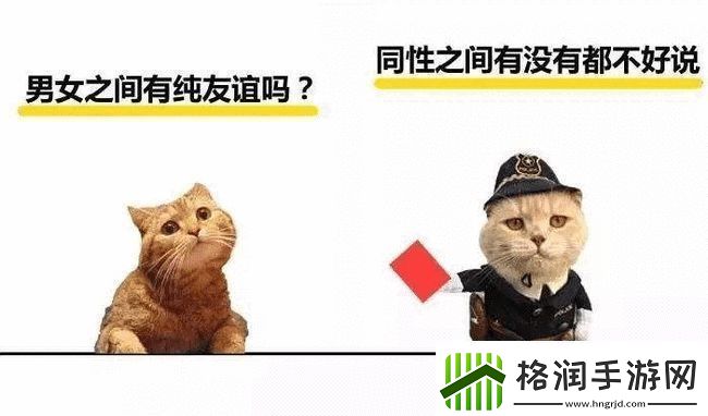 埃及猫和小男孩瑟瑟的奇妙友谊