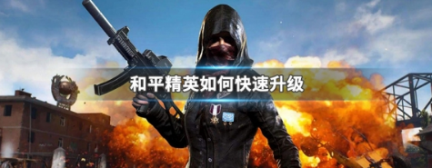 和平精英怎么快速升级等级