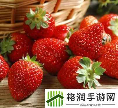 免费畅享草莓视频