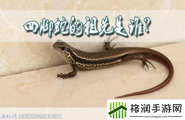 民间说法称清明蔗毒过蛇真正原因是