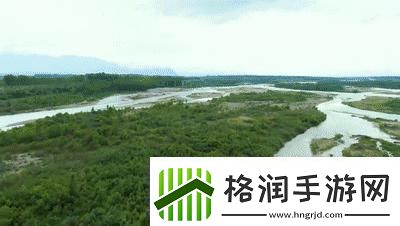 探索免费X站的宝藏