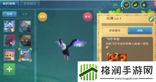 创造与魔法云鹰饲料怎么做