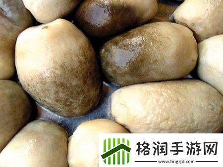 科技狂潮下的细杆椭圆头奇迹