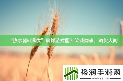 “热水器h1温度”震撼游戏圈