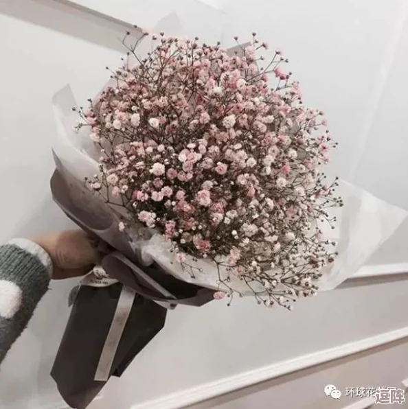 八尺夫人满天星