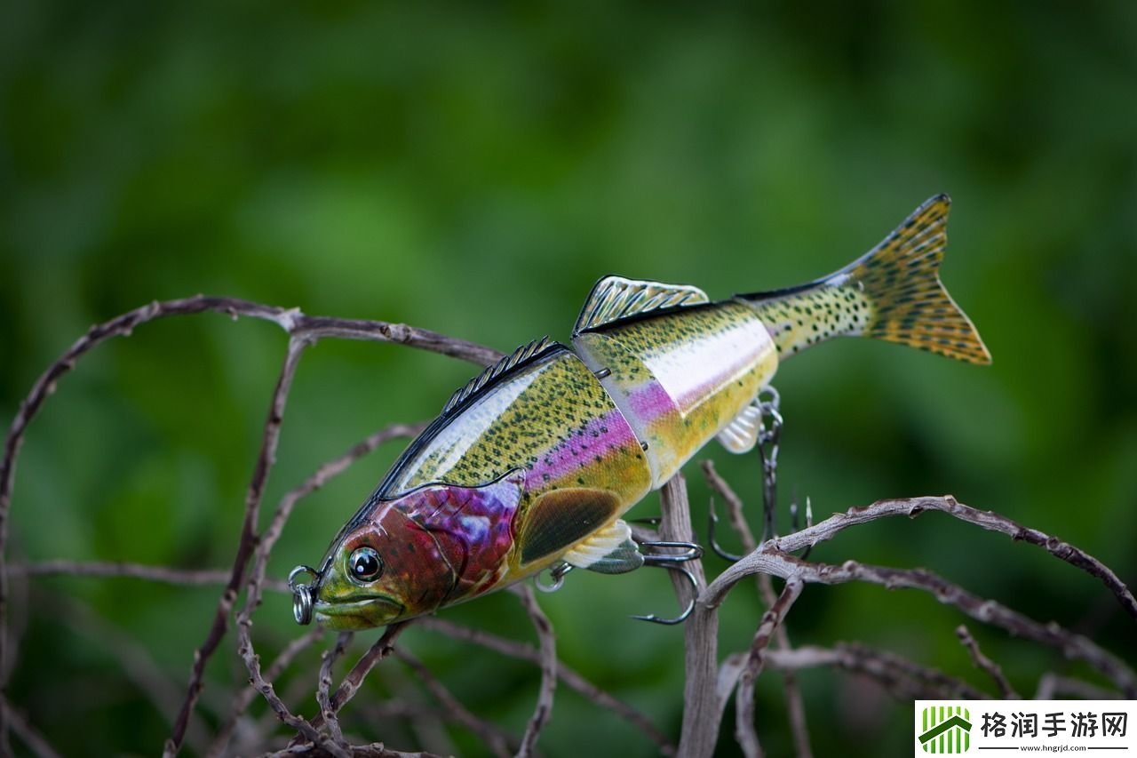 泰拉瑞亚妖精鱼的垂钓秘境