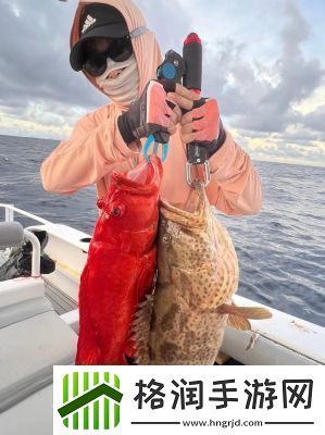 剑网3狼牙堡燕然峰石斑打法攻略详解【必看】