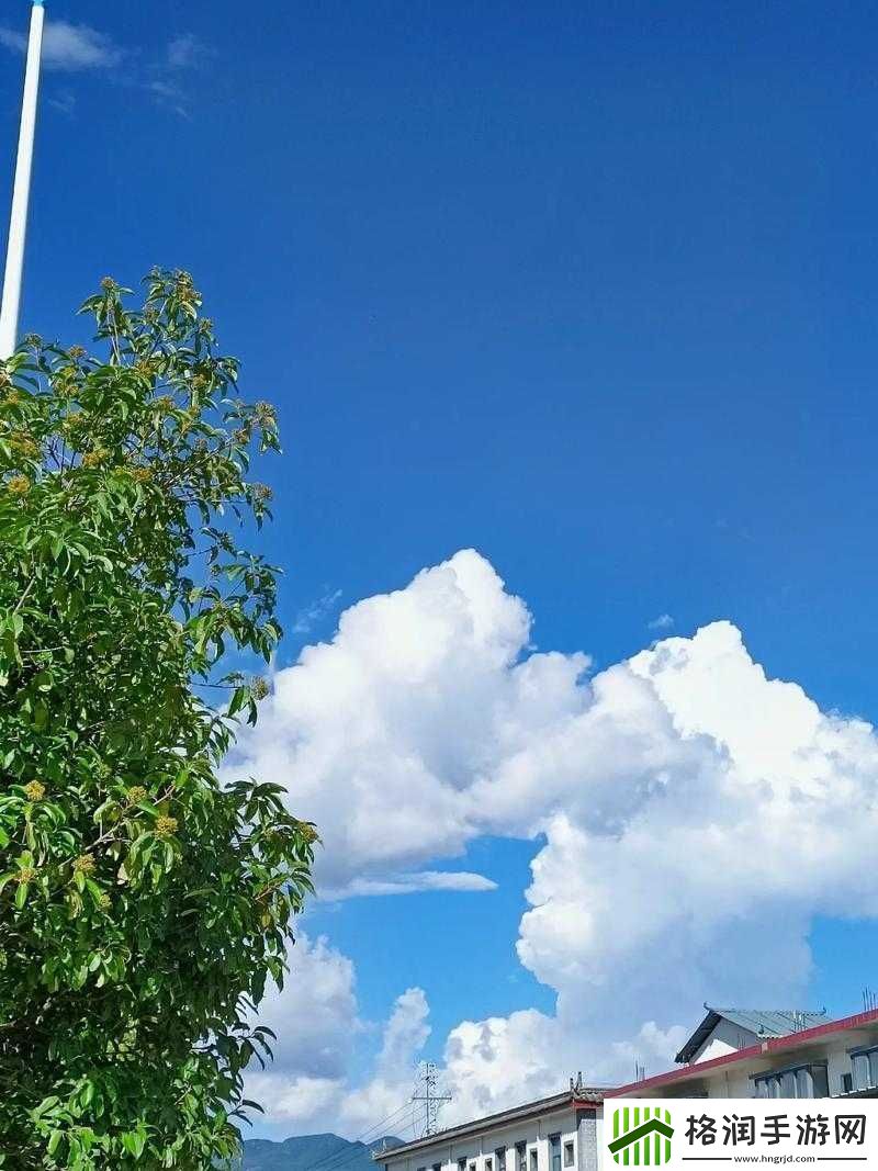 分享抖音爱就像蓝天白云原版视频感受美好时光