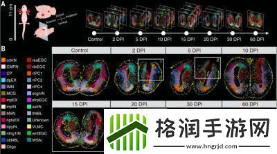 细胞变异图谱指南