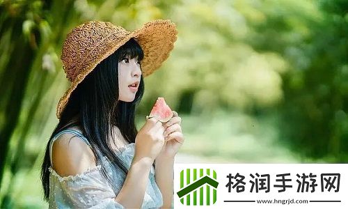 韩国理论大全友评价