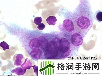 细胞变异图谱指南