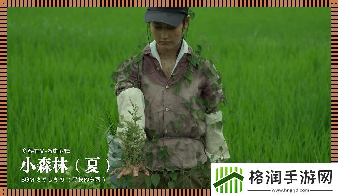 崛起的科技森林